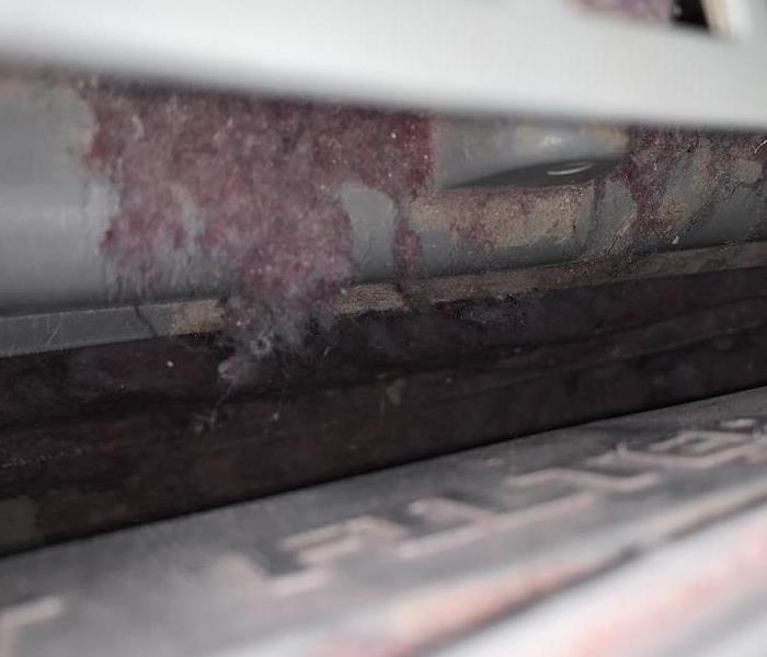 pink lint buildup in a dryer vent 