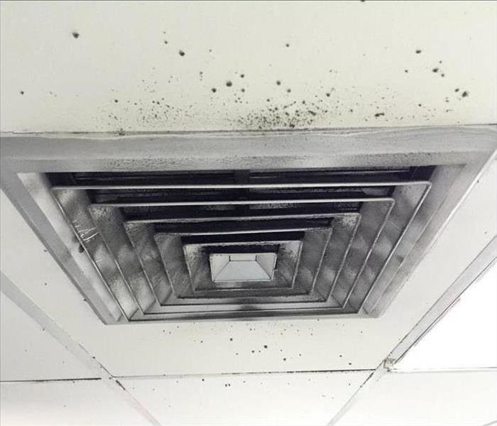 Mold and dust surrounding air duct